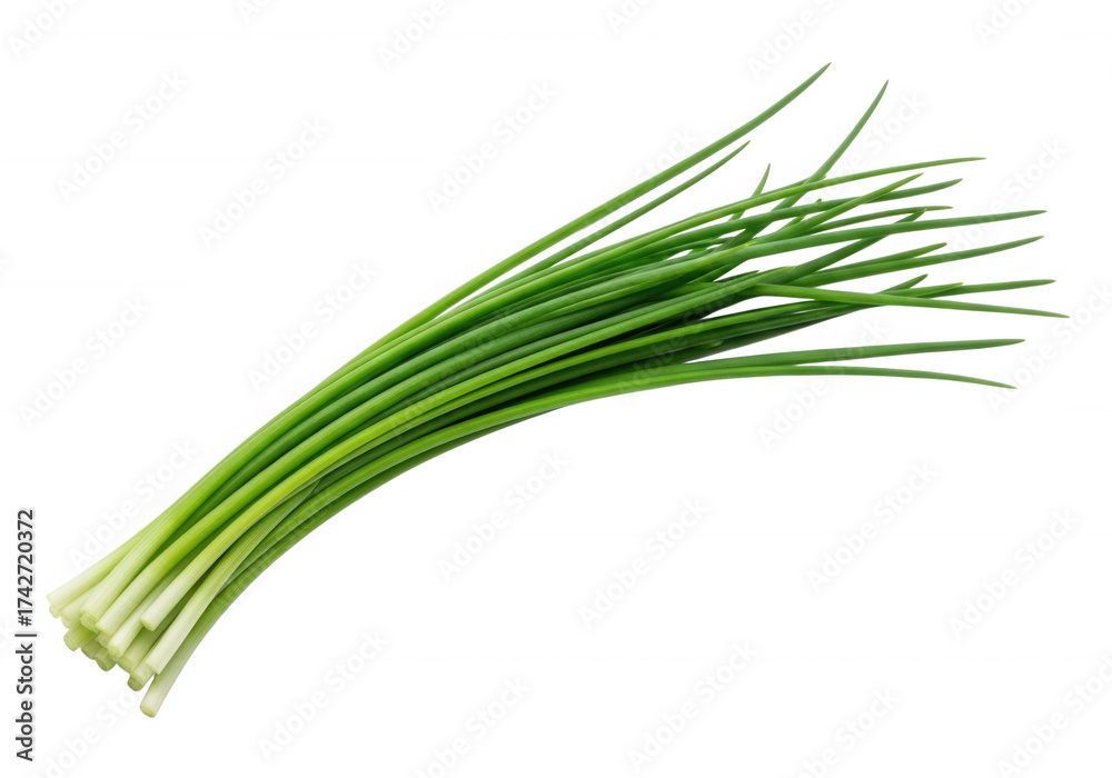 Fototapeta premium Green Chives Bunch isolated on a transparent background