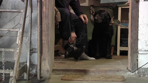 Farmer Putting on Black Leather Boots in Barn at Dawn With Loyal Dog Watching - Low Angle