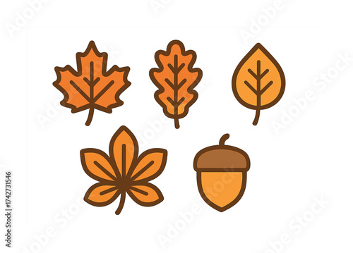Vector Colorful autumn leaves and acorn illustration