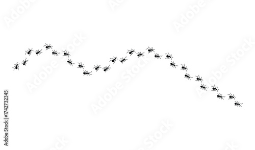 Ant trail isolated on white background, following a path