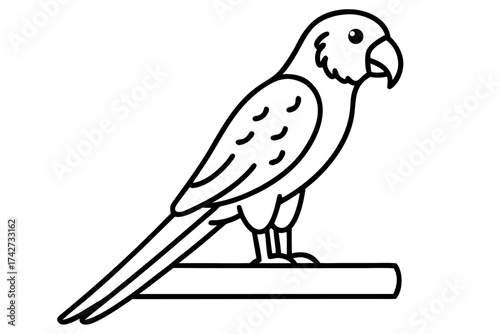 A parrot sitting on a wooden perch indoors