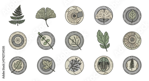 Vintage Botanical Illustrations of Ferns and Fossils.