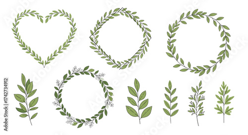 A collection of delicate green leaf illustrations forming natural decorative elements