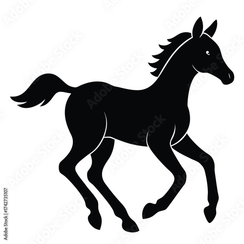 running foal  young horse  vector icon on white ba