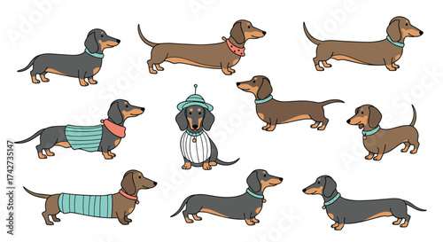 A charming collection of illustrations featuring adorable dachshunds in various poses and attire.