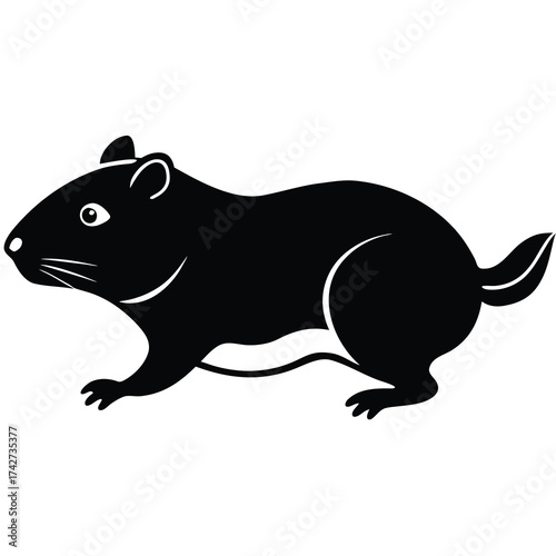 running hamster   guinea pig vector icon on white