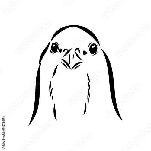 Ulan. bird, vector sketch
