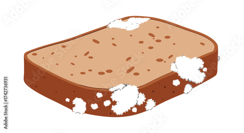 Moldy bread slice shows spoilage and food waste, highlighting decay and health concerns

