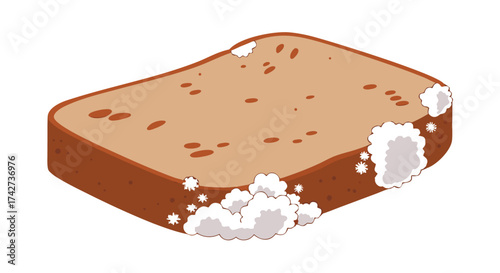 Moldy bread slice shows spoilage and food waste, highlighting decay and health concerns

