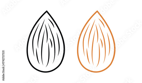 Two almond nut outlines isolated on white background