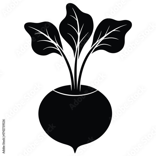 Kohlrabi Vector Illustration with Bulbous Base and Short Leaves in Clean Curved Style