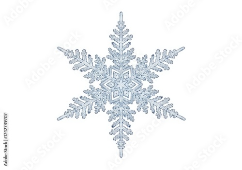 Detailed and Intricate Snowflake Design with Symmetrical Patterns and Frosted Appearance