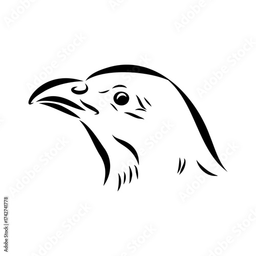 Ulan. bird, vector sketch