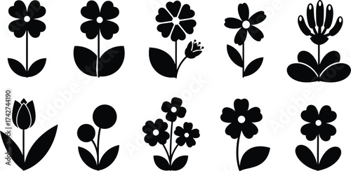 Flower floral design flowers blossom bloom botanical garden nature art