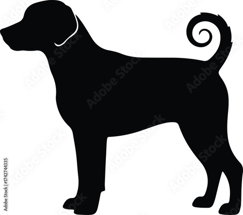 Illustrator Vector Danish Swedish Farmdog standing side view silhouette