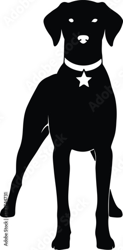 Illustrator Vector Great Dane wearing star collar silhouette