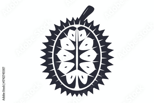 Spiky Durian Silhouette on White Background of Tropical Fruit