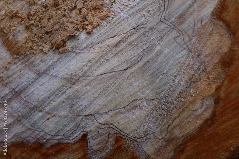 Naklejka premium old wood texture