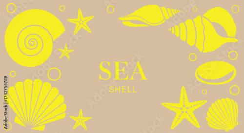 Sea shells and starfish vector illustration summer beach theme