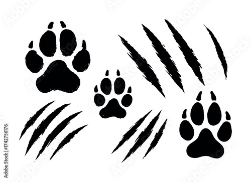 Vector Animal tracks and claw marks: black silhouettes on white background