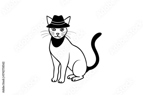 A domestic cat wearing a Hat