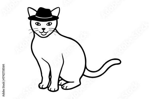 A domestic cat wearing a Hat
