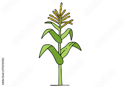 A stylized illustration of a corn harvest symbol. Vibrant green leaves and golden kernels showcase agricultural abundance. Clean, modern design suitable for various commercial applications.