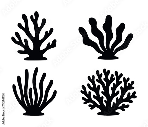 Vector Set of four black silhouette coral illustrations: marine life diversity