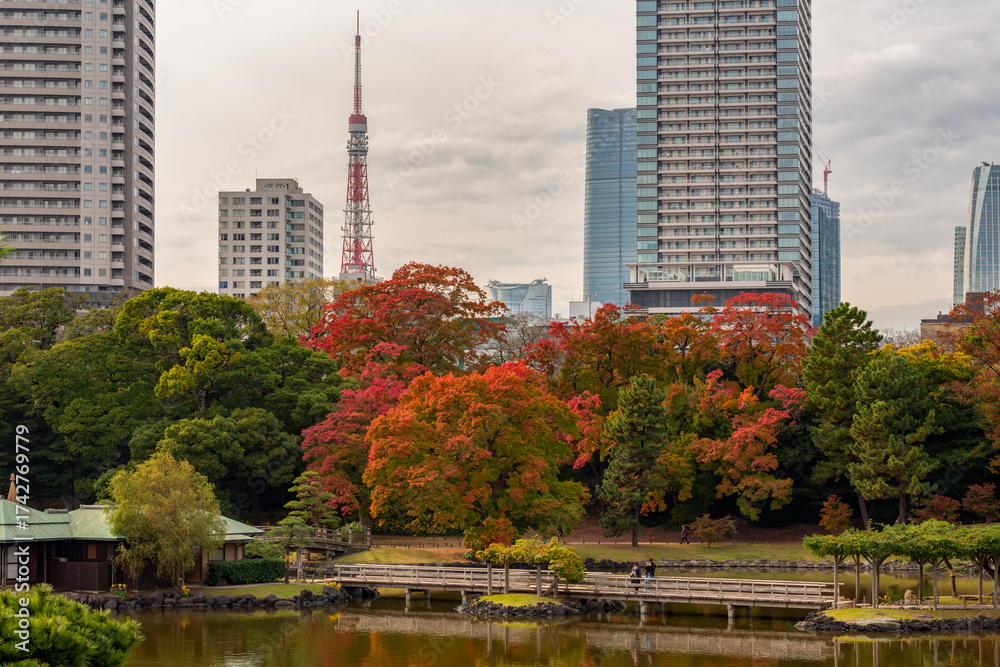 Fototapeta premium Hamarikyu gardens with skyscrapers and Tokyo tower at background in autumn, Japan
