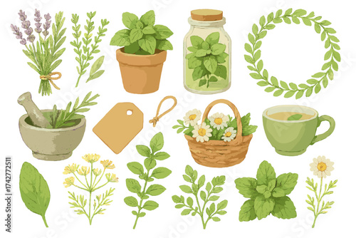 Herbal Tea and Medicinal Plants Set – Mint, Chamomile, Lavender, and Natural Remedies