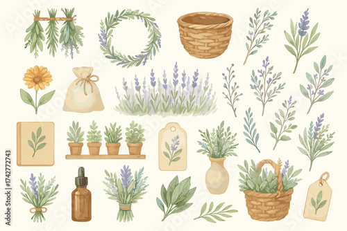 Herbal and Botanical Elements Set – Lavender and Greenery Illustration in Rustic Style