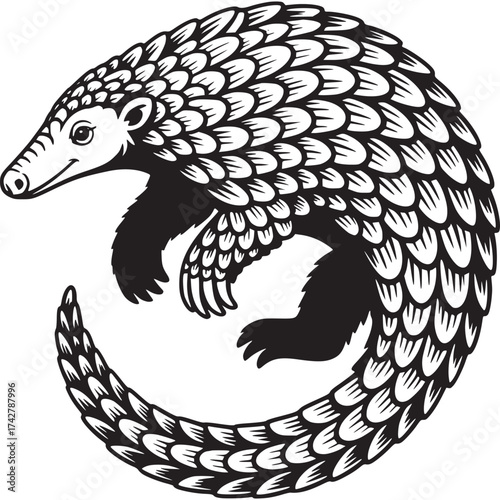Fényképezés Vector art of pangolin curled up