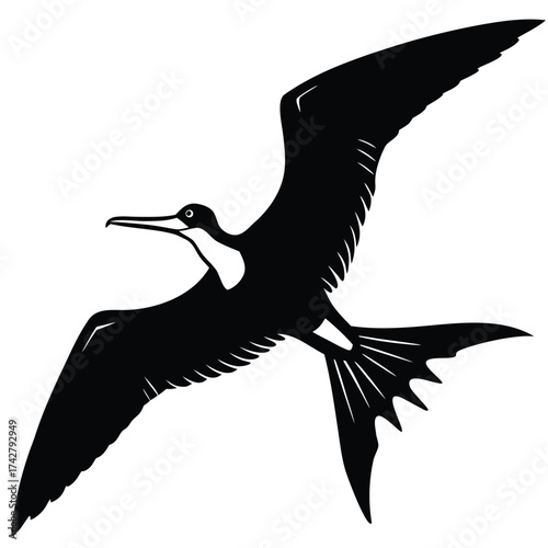 flying frigatebird vector art