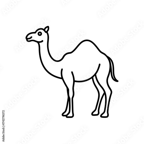 Simple line drawing of a camel on transparent background