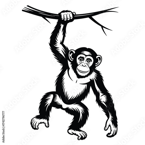 Chimpanzee hanging from branch silhouette vector illustration scalable eps graphic vector