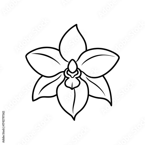 Outline drawing of a single orchid flower silhouette
