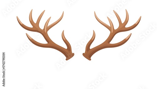 Illustration of two stylized brown deer antlers on a white background