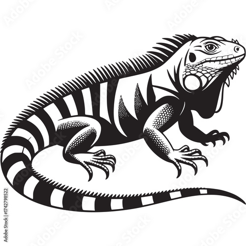Vector art of iguana illustration