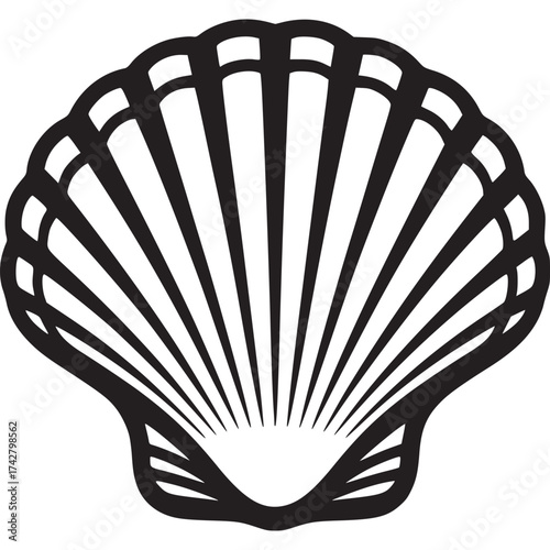 Vector art of scallop shell