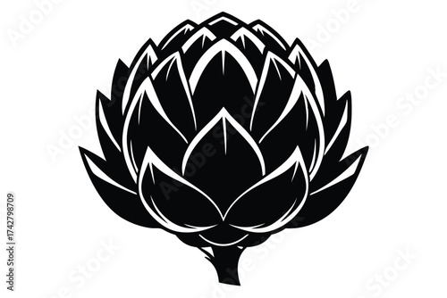 Black and white artichoke with layered leaves creates an elegant simplistic vegetal aesthetic