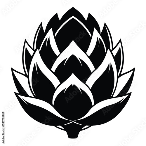 Black and white artichoke blossom in a silhouette shows botanical detail