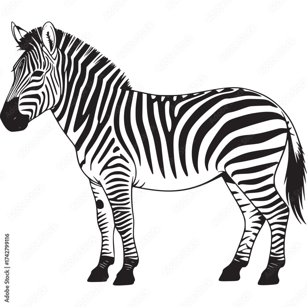 Obraz premium Vector art of zebra