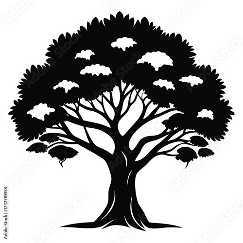 Silhouette of a full tree with distinctive foliage and unique branch patterns appears detailed