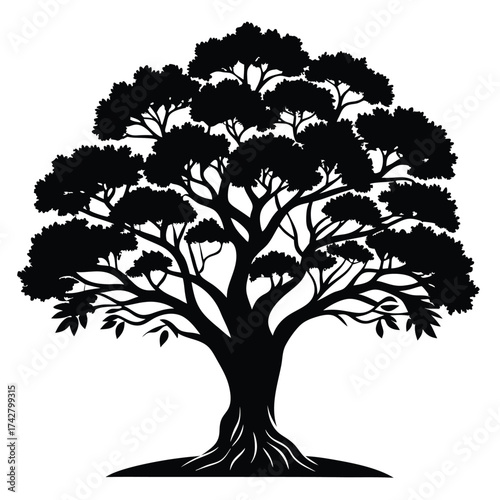 Detailed black tree silhouette showcases broad trunk, rich foliage, and exposed roots below