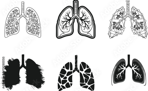 Human lungs vector illustration, anatomical design, abstract respiratory art, medical concept, bronchial tree, stylized lung graphics, healthcare, anatomy, breathing, biology