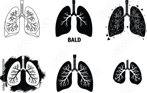 Human lungs vector illustration, medical anatomy design, stylized respiratory system artwork, bronchial tree silhouette, abstract lung shapes, healthcare concept graphic