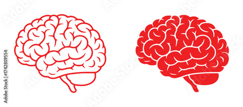 Two Red Brain Icons on a White Background