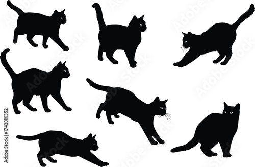 Cat silhouette vector, running cat illustration, crouching feline artwork, stretching pet design, black cat posture, domestic animal shape, playful cat graphic