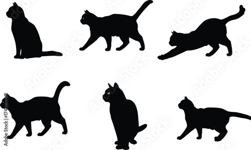 Cat silhouette vector, sitting cat illustration, walking feline artwork, stretching pet design, crouching cat posture, black animal shape, domestic cat graphic