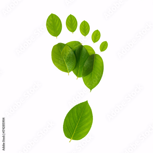 Green leaf footprint symbolizing eco friendly living and environmental care for a sustainable future